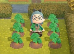 Animal Crossing Farming - How To Grow Tomatoes, Potatoes, Wheat, Sugarcane, And Carrots In New Horizons
