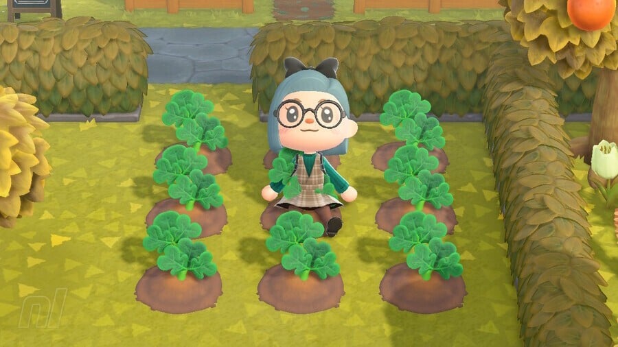 Animal Crossing Farming - How To Grow Tomatoes, Potatoes, Wheat, Sugarcane,  And Carrots In New Horizons | Nintendo Life