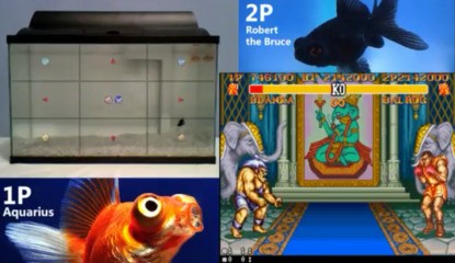 Two Fish Duke it Out in Street Fighter II