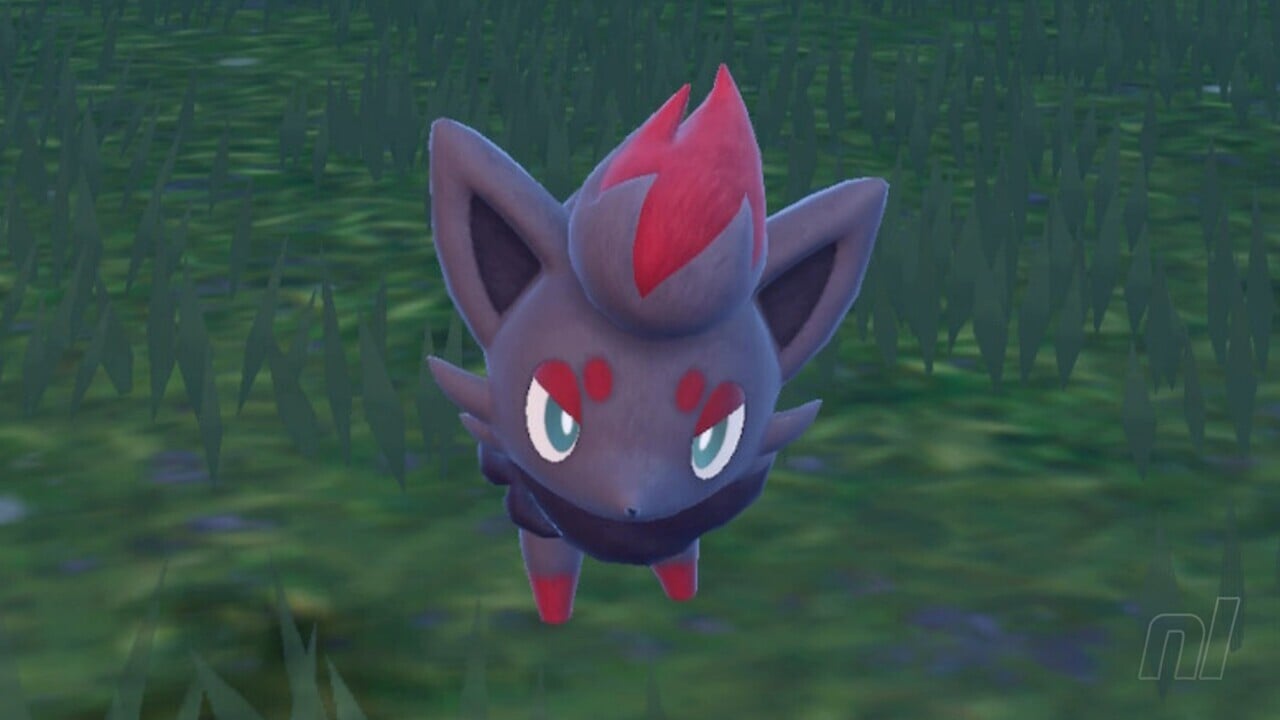 Como encontrar Ditto e Zorua em Pokémon Scarlet & Violet