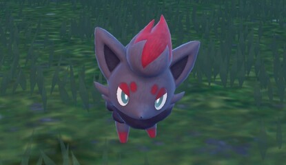 Pokémon Scarlet & Violet: Where To Find Zorua