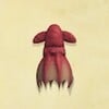 Vampire Squid