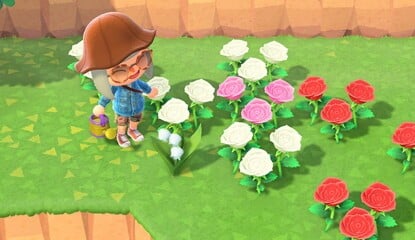 Animal Crossing: New Horizons: How To Get A 5-Star Island Rating And Grow Lily Of The Valley