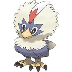 10Rufflet