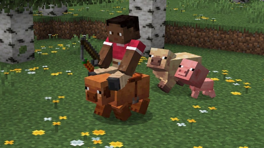 Minecraft