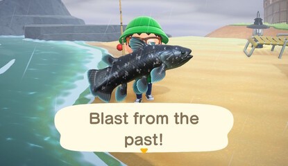 Animal Crossing: New Horizons: Coelacanth - Where, When And How To Catch The Rare Coelacanth
