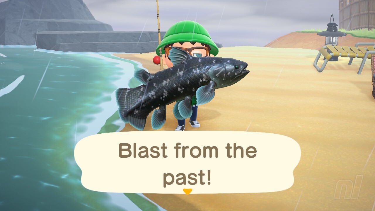 Coelacanth Animal Crossing New Horizons