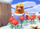 Animal Crossing: New Horizons: How To Use Resetti's Reset Service