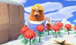 Animal Crossing: New Horizons: How To Use Resetti's Reset Service