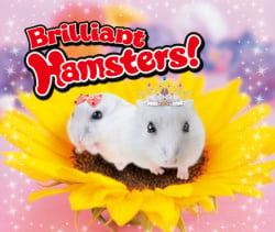 Brilliant Hamsters! Cover