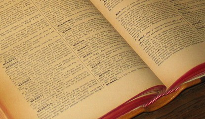 Dictionary 6 in 1 with Camera Function (DSiWare)