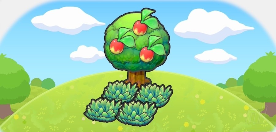 What's this habitat called?