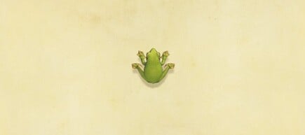 15. Frog Animal Crossing New Horizons Fish