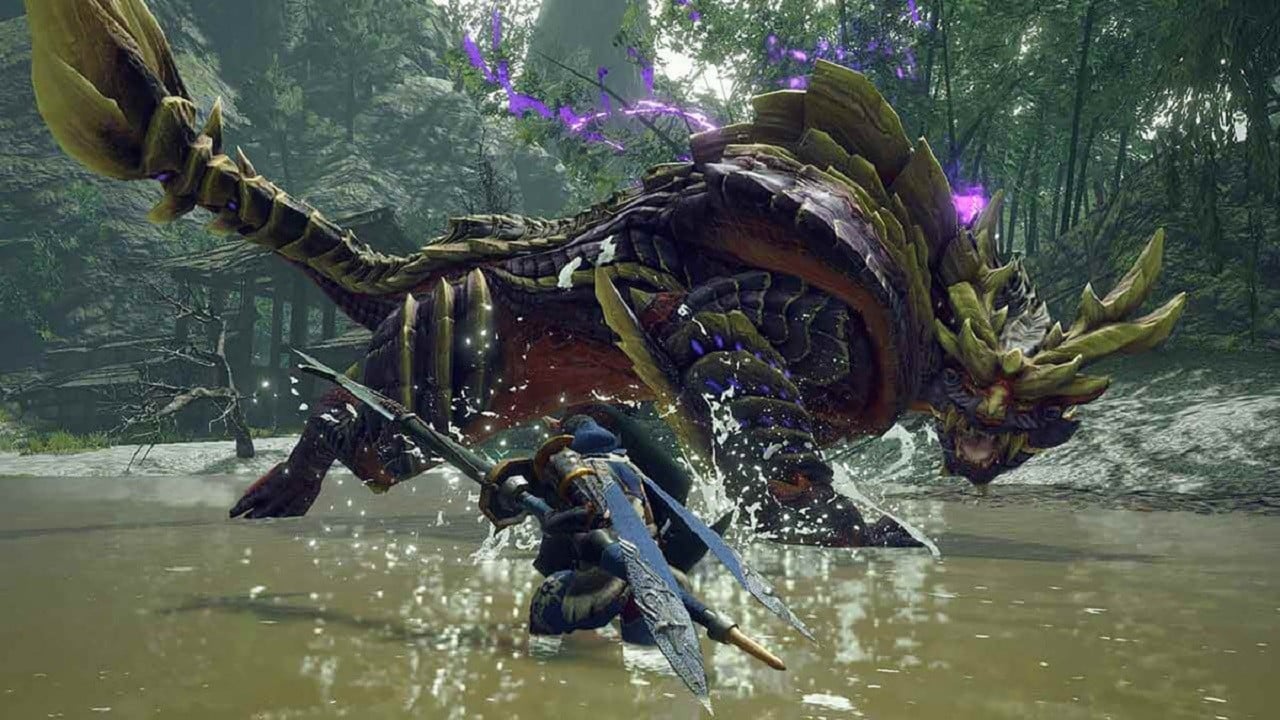 Monster Hunter Rise Demo appeared on the switch today, and it contains online cooperative play