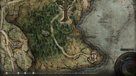 Elden Ring Tarnished Edition content