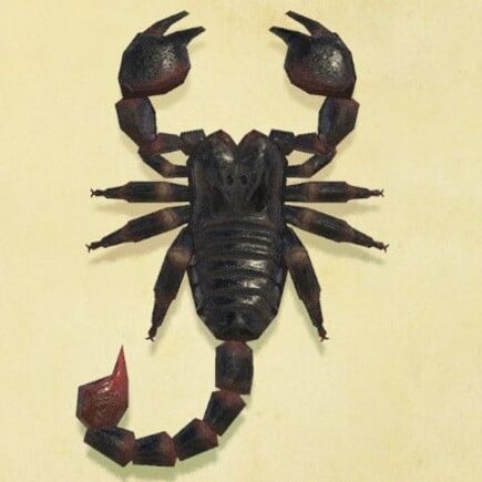 80. Scorpion Animal Crossing New Horizons Bug
