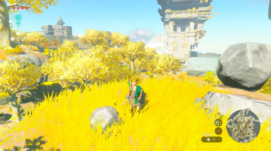 Zelda: Krallığın Gözyaşları Sigortası