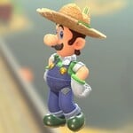 Luigi Farmer