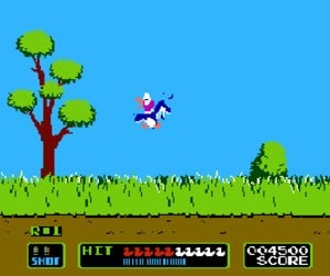 Duck Hunt