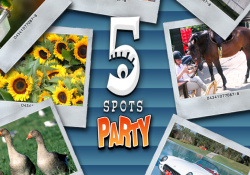5 Spots Party Cover
