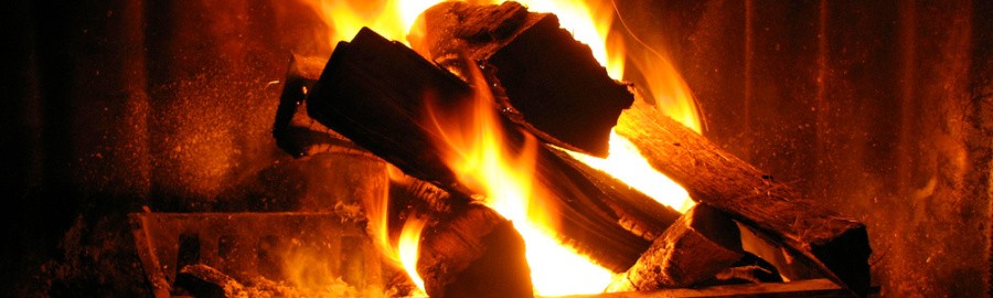 FIREPLACING (WiiWare)