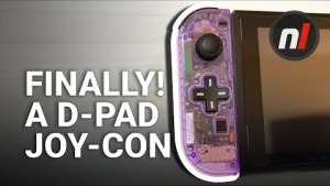 Pro Joy-Con with REAL D-Pad Review (and Cautionary Tale)