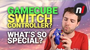 What Makes These Gamecube Nintendo Switch Controllers So Special? - Exlene Impressions
