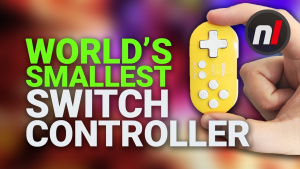 The World's Smallest Nintendo Switch Controller