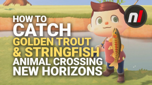 How to Catch the Golden Trout & Stringfish in Animal Crossing: New Horizons