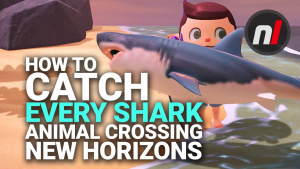 How to Catch the Great White Shark & More in Animal Crossing: New Horizons