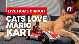 Cats Love Mario Kart Live!