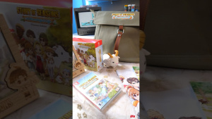A Wonderful Gift To Celebrate Life in Story of Seasons #switchgames