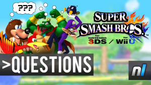 The Next Smash Bros. DLC Character – Plus YOUR Reasons for Zelda Wii U's Delay!