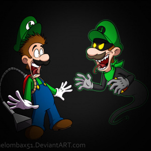 Luigi Find....