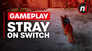 Stray Nintendo Switch Gameplay