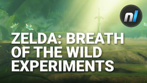 Zelda: Breath of the Wild Experiments - YOUR Suggestions