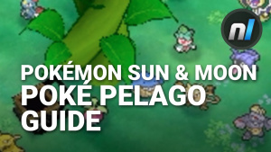 Guide: What is Poké Pelago? | Pokémon Sun & Moon Poké Pelago Guide