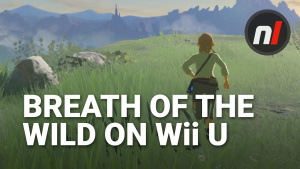 How Well Does The Legend of Zelda: Breath of the Wild Run on Wii U? | Gameplay Footage