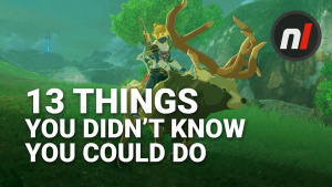 13 Things You Didn't Know You Could Do in The Legend of Zelda: Breath of the Wild
