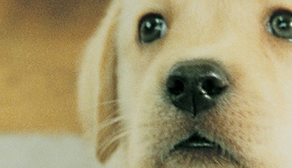 Must Love Nintendogs