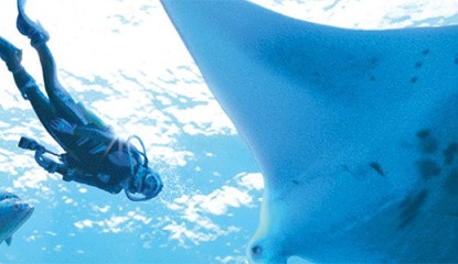 Plunge Into The Endless Ocean