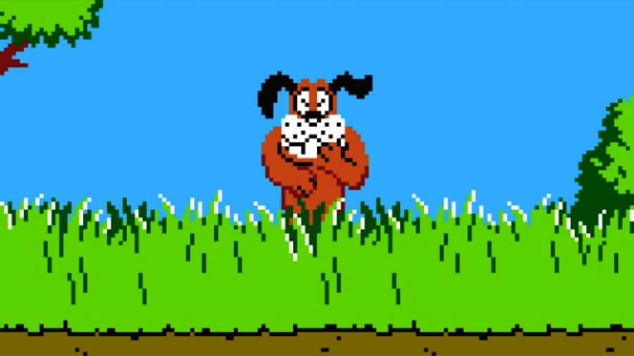 Duck Hunt