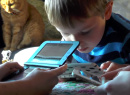 Is 3DS Download Play The Perfect Family Feature?