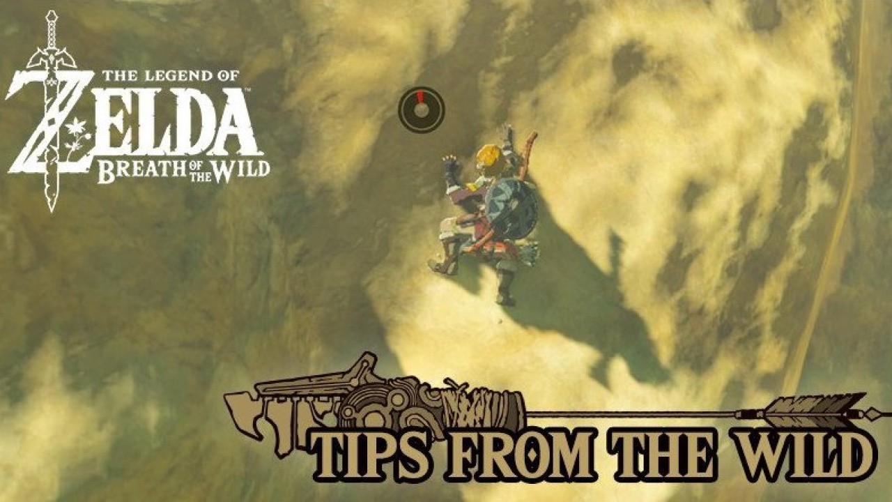 Nintendo's Latest Zelda Breath of the Wild Gift May Make You a Bit