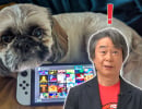 Random: Don't Let Pets Wii On Your Switch, Warns Nintendo