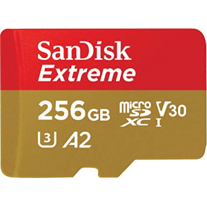 SanDisk 256GB Extreme micro SD card