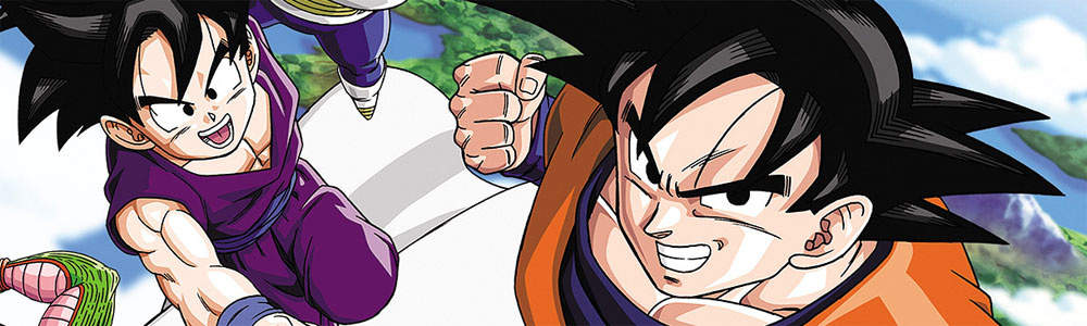 Dragon Ball Z: Goku Densetsu Review (DS) | Nintendo Life