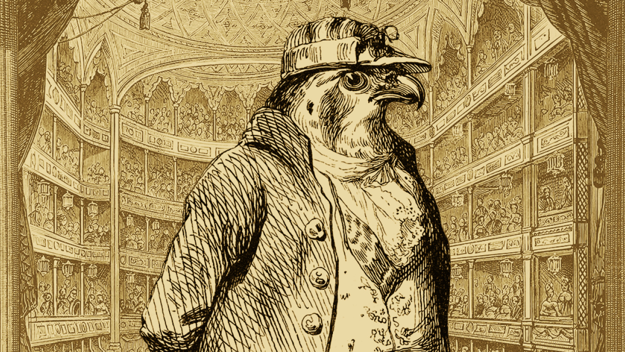 Aviary Attorney Aviary Attorney
