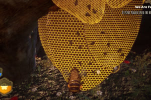 Bee Simulator Screenshot
