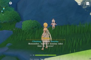 Genshin Impact Screenshot